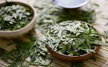 茶的认识心得体会7篇