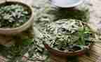 茶的认识心得体会7篇