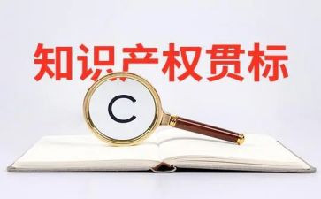 知识产权心得体会300通用5篇
