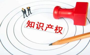 案说知识产权心得体会7篇