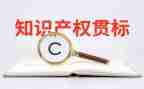 知识产权心得体会300通用5篇