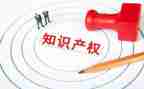 案说知识产权心得体会7篇