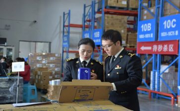 2024年接种证查验工作总结最新8篇