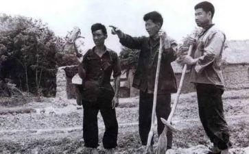 承包合同模板8篇