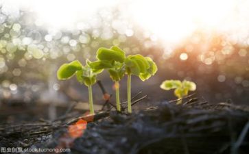 个人成长心得8篇