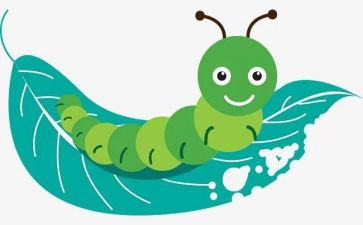 《法布尔昆虫记》读后感7篇