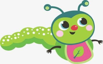 《昆虫记》蝉读后感模板6篇