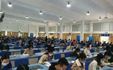 初级职称教师工作总结6篇
