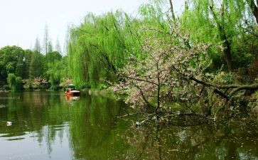 2023年春节晚会观后感推荐7篇