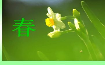 春天即至的读后感通用6篇