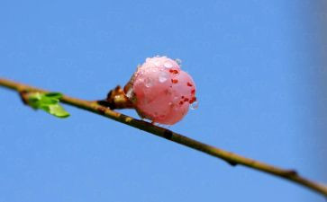 青春期健康讲座心得体会5篇