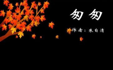 匆匆的读后感的作文8篇