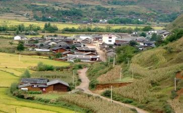 农村大调研报告推荐5篇