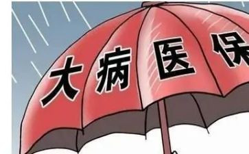 大病低保的申请书范文5篇
