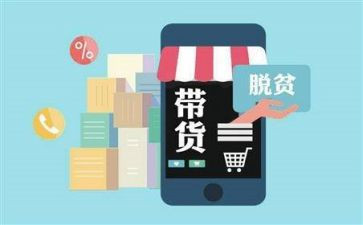 带货合作合同8篇