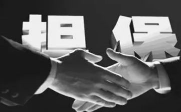最高额保证担保合同5篇