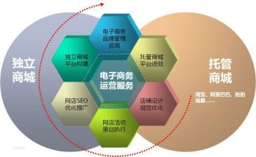 电商的心得6篇