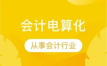 会计电算化总结和心得7篇