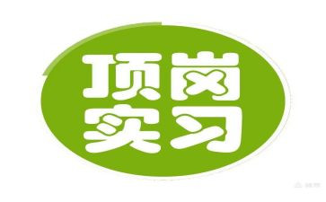 顶岗实习的工作及心得体会6篇