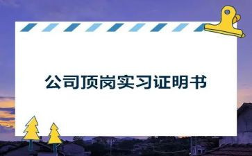 顶岗工作总结模板5篇