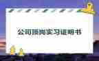 顶岗工作总结模板5篇