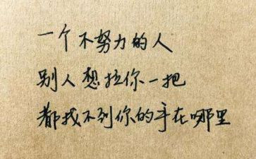 我懂了作文600字作文优质7篇