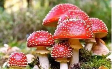 看禁毒宣传的心得体会5篇
