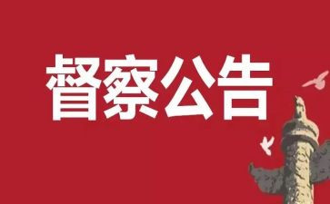 督查办的工作总结8篇