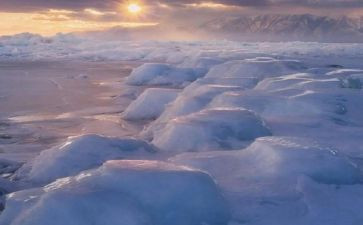 读懂自然的作文优秀5篇