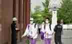 小学对课教案模板优质6篇