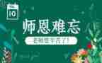 恩师情的作文推荐5篇