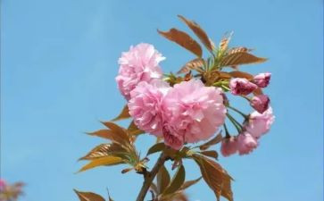 第二月工作总结6篇