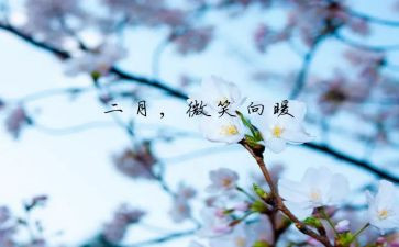 第二月工作总结参考5篇