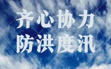 防洪防汛心得体会范文5篇