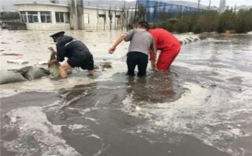 防汛活动方案8篇