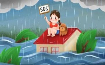 防汛安全总结精选6篇