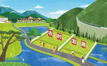 团的发展史的心得体会模板7篇