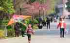风筝教学教案参考6篇