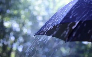 风雨中教案5篇