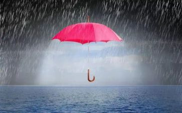 风雨的教案5篇
