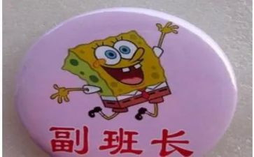 大学副班长心得体会8篇