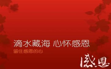 讲感恩个人心得体会7篇