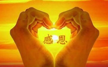 关于感恩的作文300字优质8篇