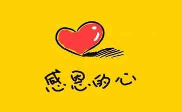 关于感恩的作文800字优秀5篇