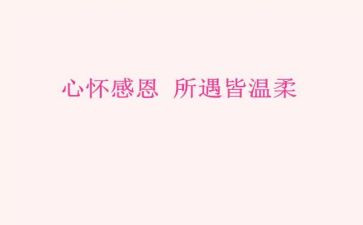 关于感恩的作文500字优质7篇