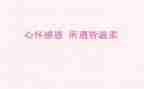 关于感恩的作文500字优质7篇