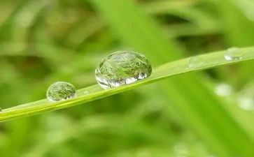 心灵的甘露作文600字作文优质5篇