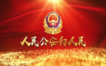 做公安的工作总结8篇