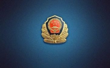 做公安的工作总结模板6篇