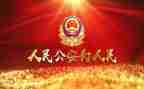 做公安的工作总结8篇